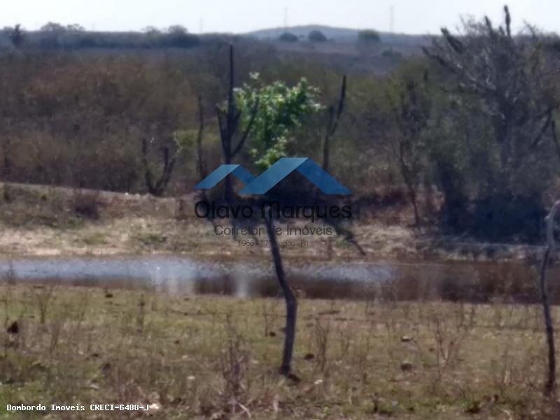 Chácara à venda, 275000m² - Foto 7