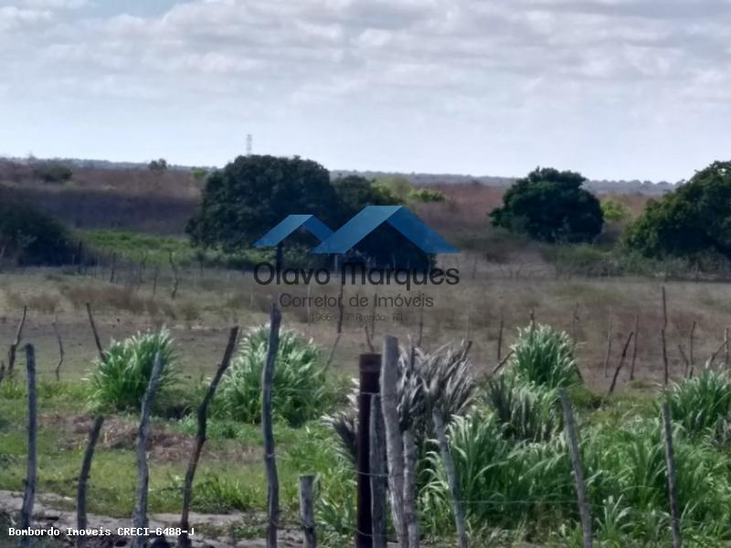 Chácara à venda, 275000m² - Foto 21